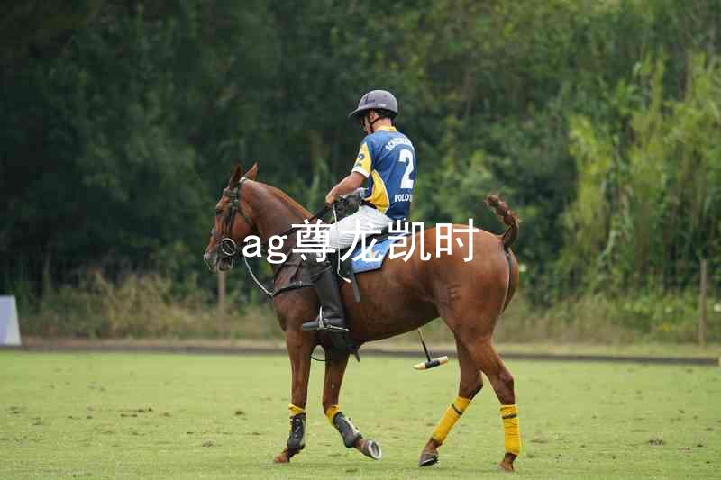 ag尊龙凯时